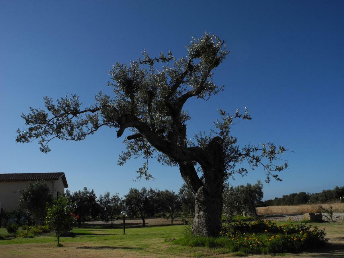 Agriturismo Is Solinas Masainas Kültér fotó